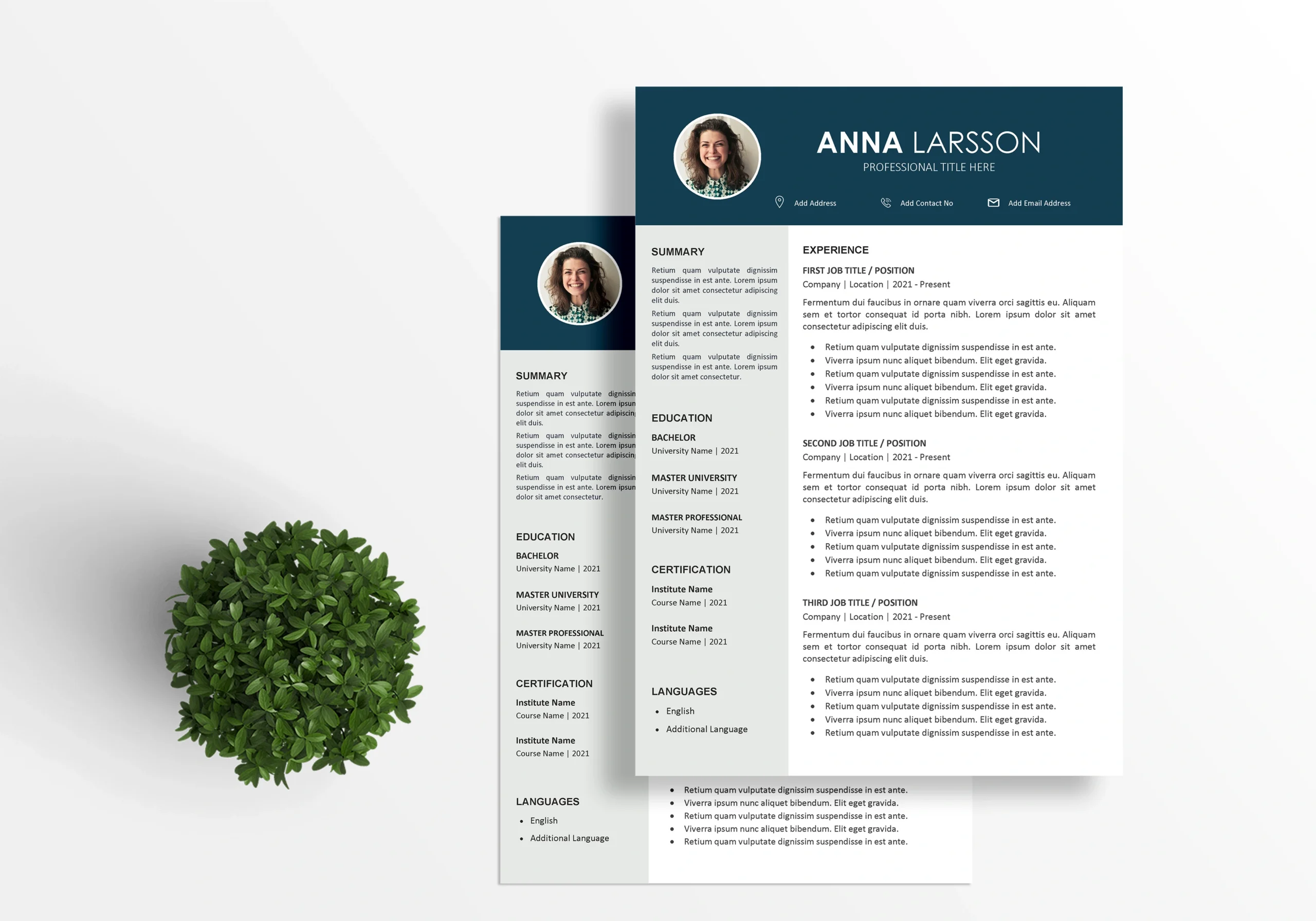 Resume Template 08