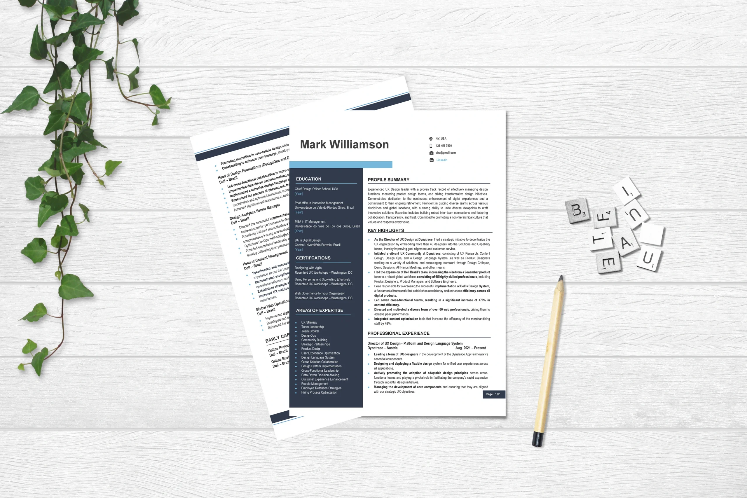 Resume template 09